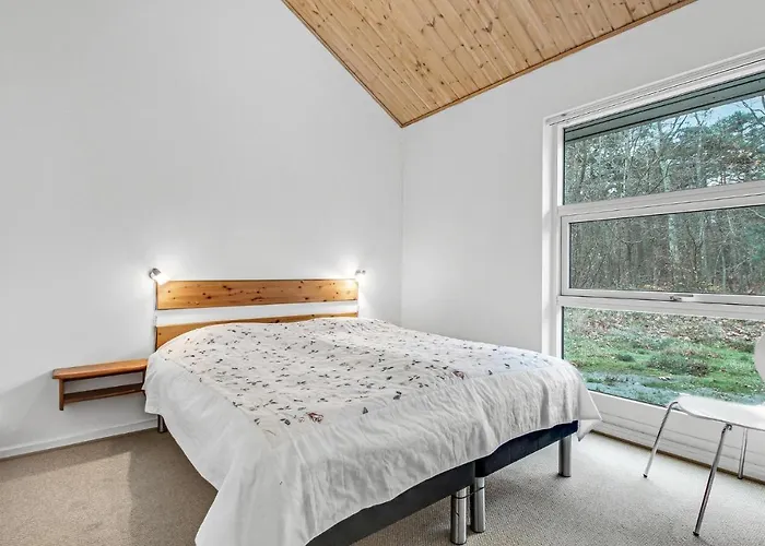 Ferienhaus Rubinsoen Skovhuse *
